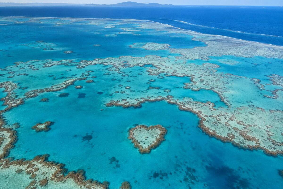 Grande Barrière de corail : les récifs vus du ciel, au large des Whitsundays