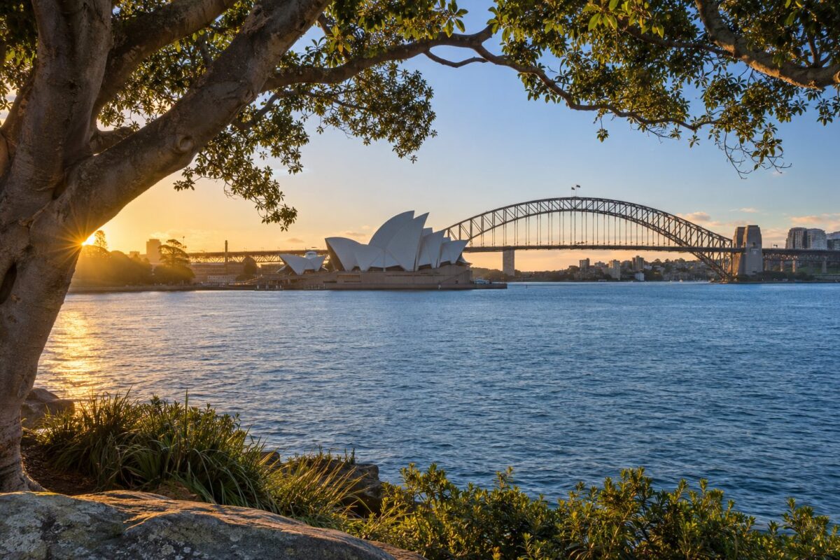 Sydney : l'Opéra et le Harbour Bridge vus de Mrs Macquarie's Chair